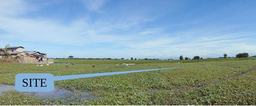 Agricultural in Lot 911-A-1, Brgy. Caluluan / Sta. Monica, Concepcion, Tarlac, Luzon - Foreclosed Property