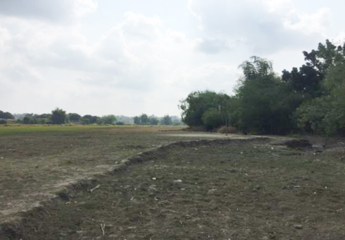 Agricultural in Various Lots, Brgy. Villa Aglipay, San Jose Tarlac, Luzon - Foreclosed Property