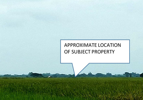 Agricultural in Lot 4896, Purok 4, Brgy. Cruz, Victoria, Tarlac (Interior), Luzon - Foreclosed Property