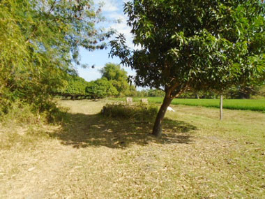 Agricultural in Lot 855-B, Brgy. Balbaloto / Nilasin, Victoria, Tarlac (Interior), Luzon - Foreclosed Property