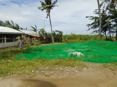 Agricultural in Lot 459, Brgy. Binaobaoan, Pilar, Capiz (Interior) - Foreclosed Property