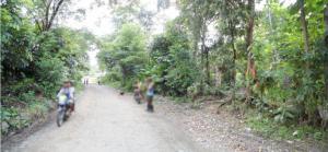 Agricultural in Barangay Road, Brgys. Carvasana, Maribong & Alogmawa, Calinog & Lambunao, Iloilo, Visayas - Foreclosed Property