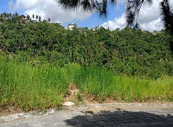 Vacant Lot in Lot 3, Block 2, Emerald Loop, Crosswinds Tagaytay Subdivision, Brgy. Iruhin, Tagaytay City, Cavite, Luzon - Foreclosed Property