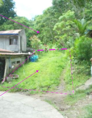 Agricultural in Lot 4252, Brgy. Puting Lupa, Calamba City, Laguna (Interior), Luzon - Foreclosed Property