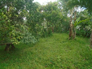 Vacant Lot in Lot No. 3, Brgy. San Marcos (Tikiw), San Pablo City, Laguna, Luzon - Foreclosed Property