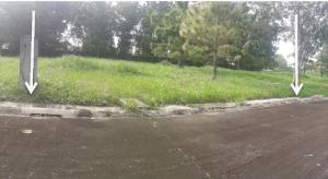 Vacant Lot in Lot 26, Block 7, Maple Street, Belle Reve Subdivision, Brgy. Don Jose / Sto. Domingo, Santa Rosa City, Laguna, Luzon - Foreclosed Property