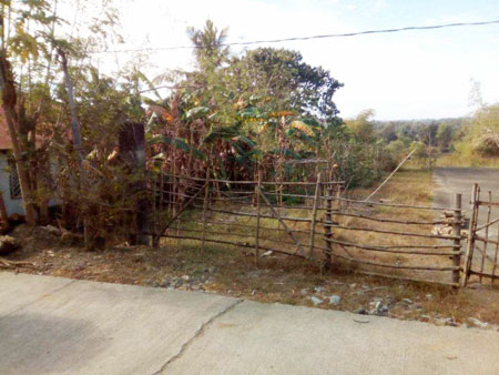 Vacant Lot in Lot 6438-A, Psd-1-0141662, Don Juan St., Brgy. Pogo, Alaminos City, Pangasinan (With dilapidated improvement), Luzon - Foreclosed Property