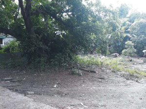 Vacant Lot in Lot 1132-O, Zambrano St., Zone IV, Brgy. Poblacion, Rosales, Pangasinan, Luzon - Foreclosed Property