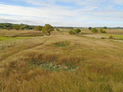 Agricultural in Lot B-5-A, Sitio Sta. Cruz, Brgy. Iba, San Jose, Tarlac (Interior), Luzon - Foreclosed Property