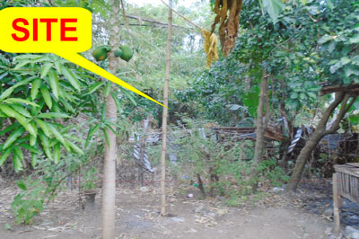 Agricultural in Lot 10-B-6, Brgy. San Vicente, Santa Ignacia, Tarlac (Interior), Luzon - Foreclosed Property