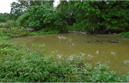 Agricultural in Lot 4034-F-1-A, Sitio Centro, Brgy. Sapang Maragul, Tarlac City, Tarlac (Interior), Luzon - Foreclosed Property