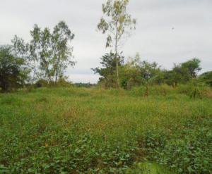 Vacant Lot in Lot 1 (Pcs-04-013807), Brgy. Dela Paz, Biñan, Laguna, Luzon - Foreclosed Property