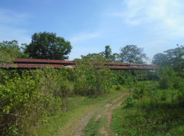 Vacant Lot in Lot 10516-B-2, Barangay Road, Brgy. Magsaysay, Naguilian, Isabela, Luzon - Foreclosed Property