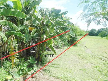 Vacant Lot in Lot 3503-I, SW side of Nambalan - Sembrano Road, Brgy. Sembrano, Gerona, Tarlac, Luzon - Foreclosed Property