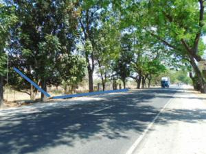 Vacant Lot in Lot 4994-A, Romulo Highway, Brgy. Mabini (Sulipa & Calayaan), Gerona, Tarlac, Luzon - Foreclosed Property