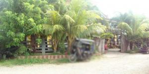 House & Lot in Lot 10161-C and 10161-D, Brgy. Macanaya, Aparri, Cagayan, Luzon - Foreclosed Property