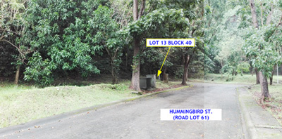 Vacant Lot in Lot 13, Block 40, Canyon Woods Residential Resort, Phase 2, Brgy. San Gabriel / San Gregorio, Laurel, Batangas, Luzon - Foreclosed Property
