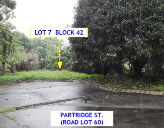 Vacant Lot in Lot 7, Block 42, Canyon Woods Residential Resort, Phase 2, Brgy. San Gabriel / San Gregorio, Laurel, Batangas, Luzon - Foreclosed Property