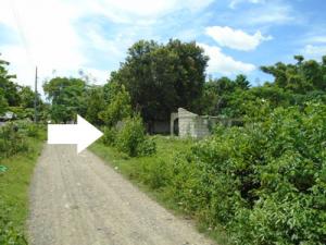 Agricultural in Lot 1983-D, Brgy. Cawayan Bugtong, Guimba, Nueva Ecija, Luzon - Foreclosed Property