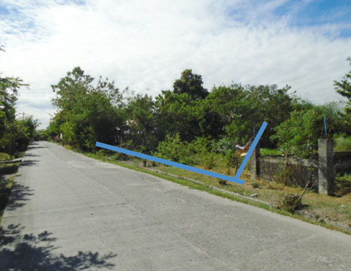 Vacant Lot in Lot 2402-D-4-E, Brgy. Mayang, La Paz, Tarlac, Luzon - Foreclosed Property