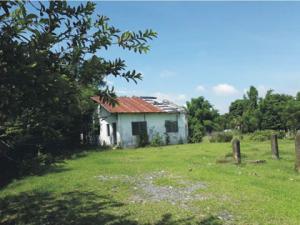 Commercial in Lot 10780-P, Barangay Asin & Lunec, Malasiqui, Pangasinan (With dilapidated improvement), Luzon - Foreclosed Property