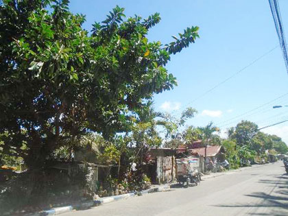 Vacant Lot in Lot 528-C-3-B, Don Emilio Gaston St., Brgy. Mambulac, Silay, Negros Occidental, Visayas - Foreclosed Property