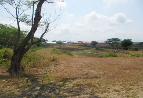 Agricultural in Lot 3988-B-1 and 3988-B-2, Sitio Cardenas, Brgy. Capalangan, Gapan City, Nueva Ecija - Foreclosed Property