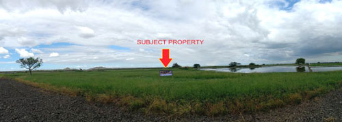 Agricultural in Lot 1512, Brgy. Guevara, La Paz, Tarlac (Interior), Luzon - Foreclosed Property