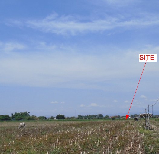 Agricultural in Lot 4853-A-10, Sitio Bacao, Brgy. Salumague, Paniqui, Tarlac, Luzon - Foreclosed Property