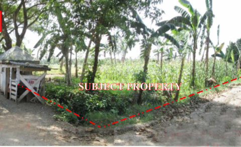 Vacant Lot in Lot No. 1883, Purok 5, Brgy. Poblacion, New Corella / Saug, Davao del Norte, Mindanao - Foreclosed Property