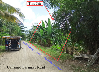 Vacant Lot in Lot No. 2221, Purok 5, Brgy. Poblacion, New Corella / Saug, Davao del Norte, Mindanao - Foreclosed Property