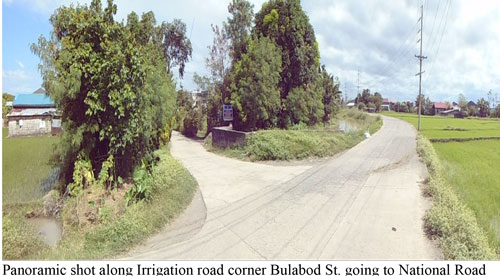Vacant Lot in Lot 732-B-2-D-8-A and 732-B-2-D-8-F, Bulabod St., Brgy. Sto. Niño, Gapan City, Nueva Ecija, Luzon - Foreclosed Property
