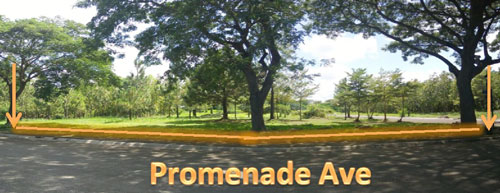 Vacant Lot in Lot 9, Block 10, Promenade Avenue and Road Lot 1, Promenade Subdivision, Brgy. Don Jose & Malilit / Sto. Domingo, Santa Rosa City, Laguna, Luzon - Foreclosed Property