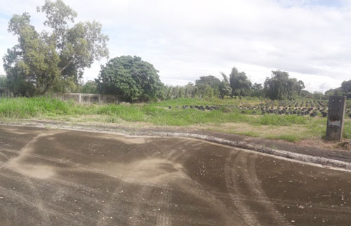 Vacant Lot in Lot 2, Block 13,, Promenade Subdivision, Brgy. Sto. Domingo, Santa Rosa City, Laguna, Luzon - Foreclosed Property