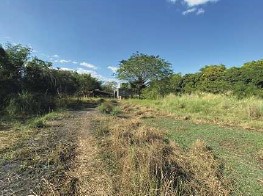 Agricultural in Lot 1407-F, Brgy. Domanpot, Asingan, Pangasinan (Interior), Luzon - Foreclosed Property