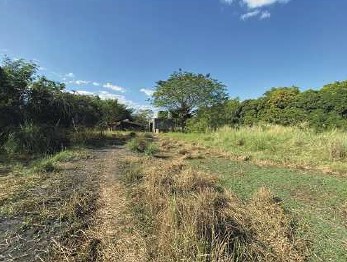Agricultural in Lot 1407-C, Brgy. Domanpot, Asingan, Pangasinan, Luzon - Foreclosed Property