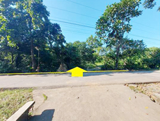 Vacant Lot in Lot 30967-C, Psd-01-034156, Brgy. Anolid, Malasiqui, Pangasinan, Luzon - Foreclosed Property