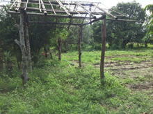 Agricultural in Lot 2-B-4-B, Psd-015546-027513, Brgy. Pinmaludpod, Urdaneta City, Pangasinan (Interior), Luzon - Foreclosed Property