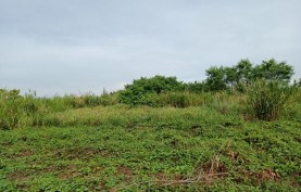 Industrial in Lot 2934-L-14-B, Gateway Business Park, Brgy. Javalera, Gen. Trias, Cavite, Luzon - Foreclosed Property