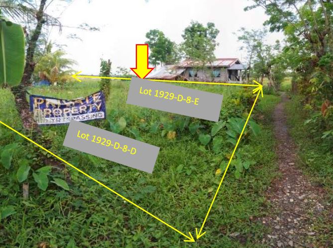 Vacant Lot in Lot 192-D-8-D, Brgy. Camansi, Kabankalan City, Negros Occidental, Visayas - Foreclosed Property