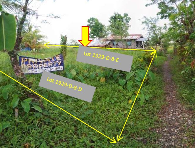 Vacant Lot in Lot 192-D-8-E, Brgy. Camansi, Kabankalan City, Negros Occidental, Visayas - Foreclosed Property