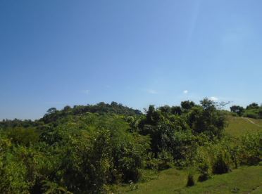 Agricultural in Lot 5563, Brgy. Calipayan, Santa Ignacia, Tarlac (Interior), Luzon - Foreclosed Property