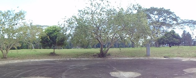 Vacant Lot in Lot 46, Block 11, Pine Street, Belle Reve Subdivision, Brgy. San Jose / Sto. Domingo, Santa Rosa City, Laguna, Luzon - Foreclosed Property