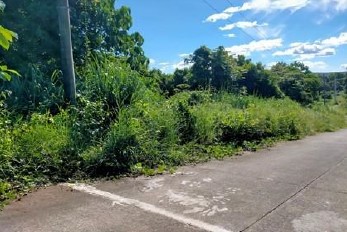 Vacant Lot in Lot 5, Block 71, Limber Pine St., Eastland Heights (formerly Forest Hills Golf & Residential Estates), Brgy. San Isidro / Inarawan, Antipolo, Rizal - Foreclosed Property