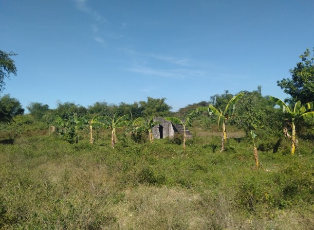 Agricultural in Lot 5, Block 28, Brgy. Leet, Santa Barbara, Pangasinan, Luzon - Foreclosed Property