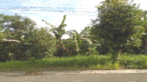Vacant Lot in Lot 30, Block 1, Calamansi St., Plantacion Meridienne, Phase CIT, Brgy. Cumba, Lipa City, Batangas, Luzon - Foreclosed Property