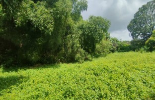 Agricultural in Lot 5515, Malanday St., Brgy. Encanto, Angat, Bulacan, Luzon - Foreclosed Property