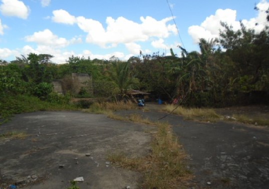 Industrial in Lot 1700-B, Governor's Drive, Brgy. Gavino Maderan / Ramon Cruz, General Mariano Alvarez, Cavite - Foreclosed Property