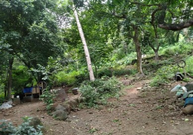 Agricultural in Lot 2127, Manila East Road corner Ilaya St., Sitio Nagpatong, Brgy. San Juan, Baras, Rizal, Luzon - Foreclosed Property