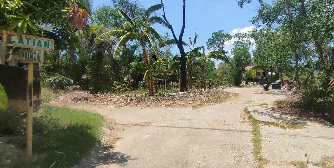 Agricultural in Lot 10, Latian corner Prinza Streets, Brgy. Lolomboy, Bocaue, Bulacan, Luzon - Foreclosed Property